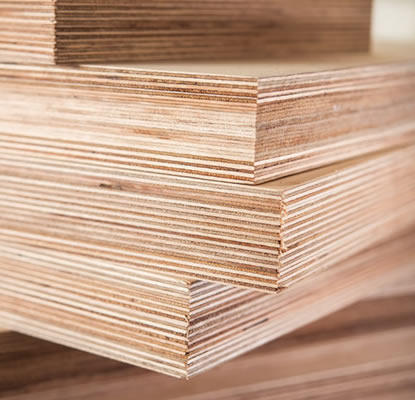 Kayın Kontrplak